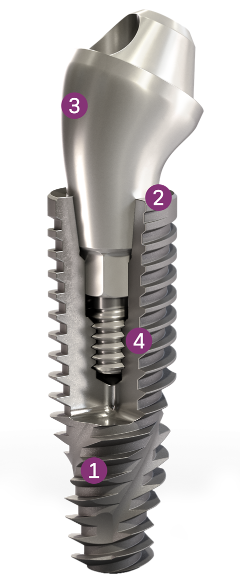 Helix-Component_conceptual_v2